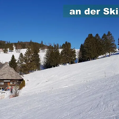 Apartamento Wohlfühl-ferienwohnung 80 Qm, 8 Personen, Aussicht&heimkino Todtnau