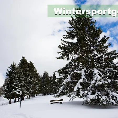 Wohlfühl-ferienwohnung 80 Qm, 8 Personen, Aussicht&heimkino Todtnau