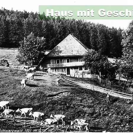 Apartamento Wohlfühl-ferienwohnung 80 Qm, 8 Personen, Aussicht&heimkino *