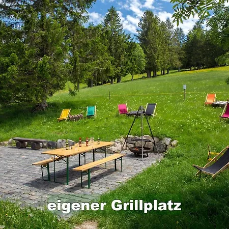 Wohlfuehl-ferienwohnung 80 Qm, 8 Personen, Aussicht & Heimkino * Todtnau
